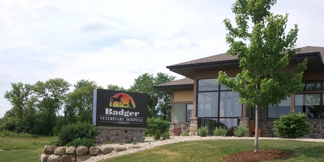 Badger Veterinary Hospital Cambridge - Cambridge , United States