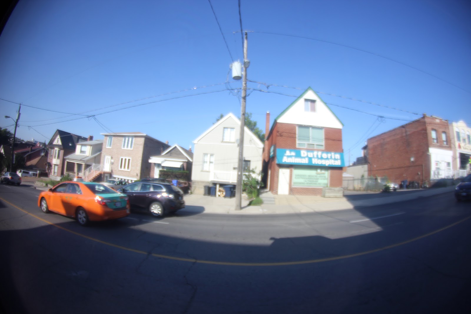 Dufferin Animal Hospital - York , Canada