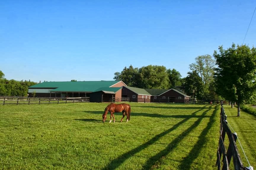 Syracuse Equine Veterinary Specialists - Manlius , United States