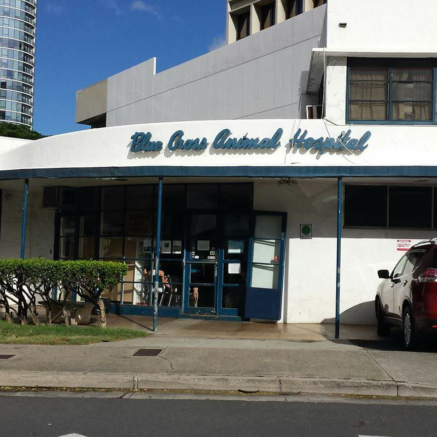 Blue Cross Animal Hospital - Honolulu , United States