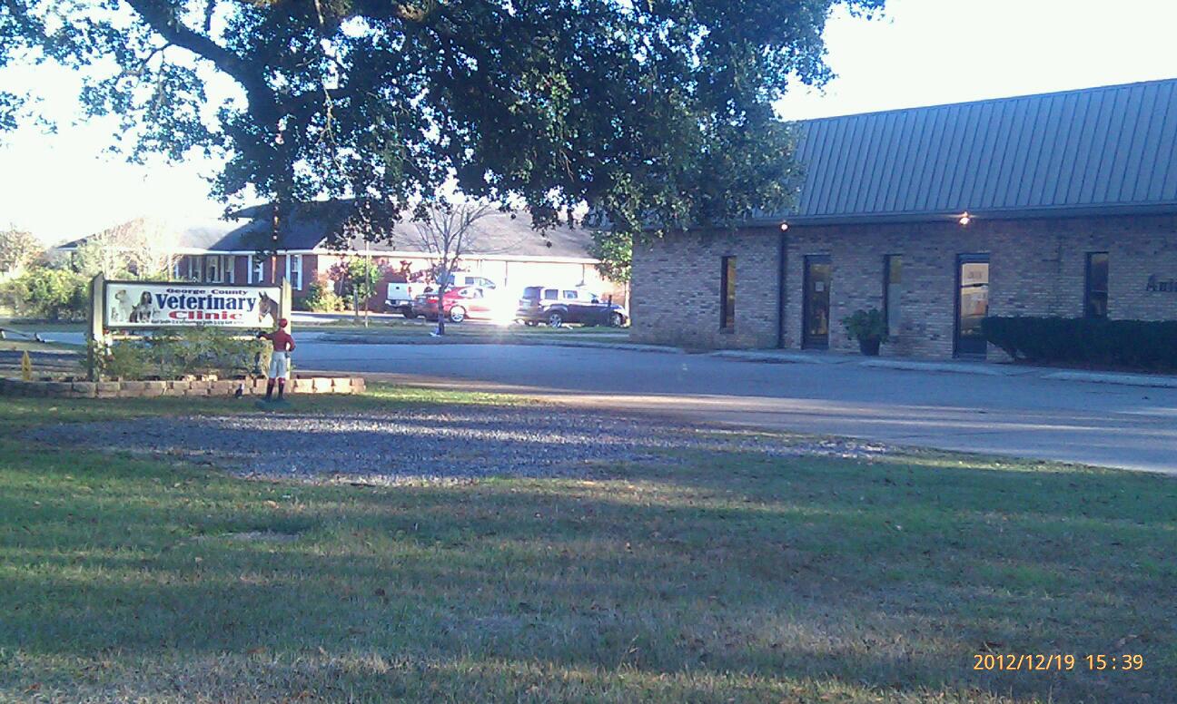 Southern Veterinary Clinic - Lucedale , United States