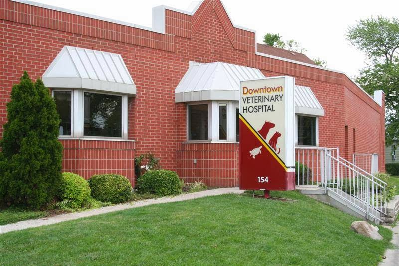 Downtown Veterinary Hospital - Windsor , Canada