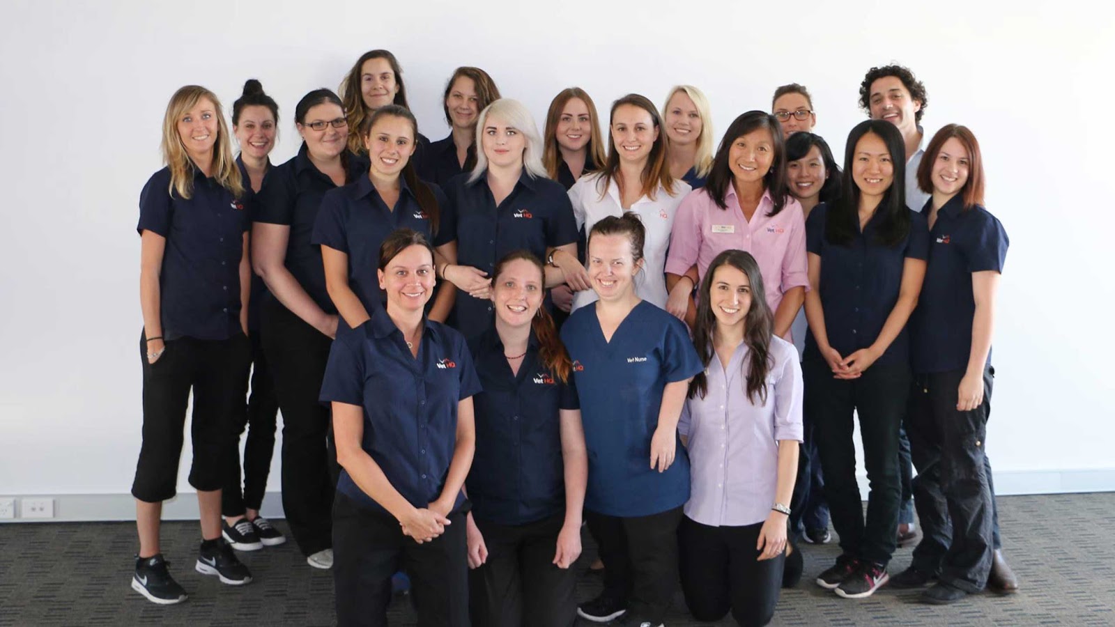 Vet Hq Double Bay - Double Bay , Australia