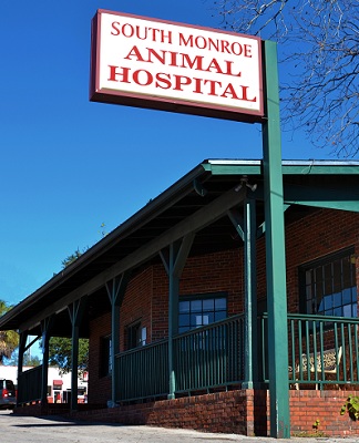South Monroe Animal Hospital - Tallahassee , United States