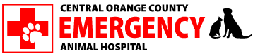Central Orange County Emergency Animal Hospital - Newport Beach , United States