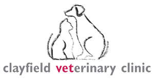 Clayfield Veterinary Clinic - Clayfield , Australia