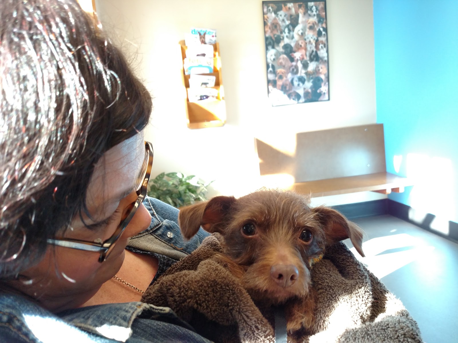St Marys Animal Clinic - Tucson , United States
