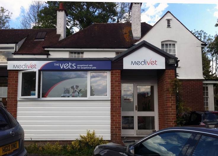 Medivet Oxted - Oxted , United Kingdom