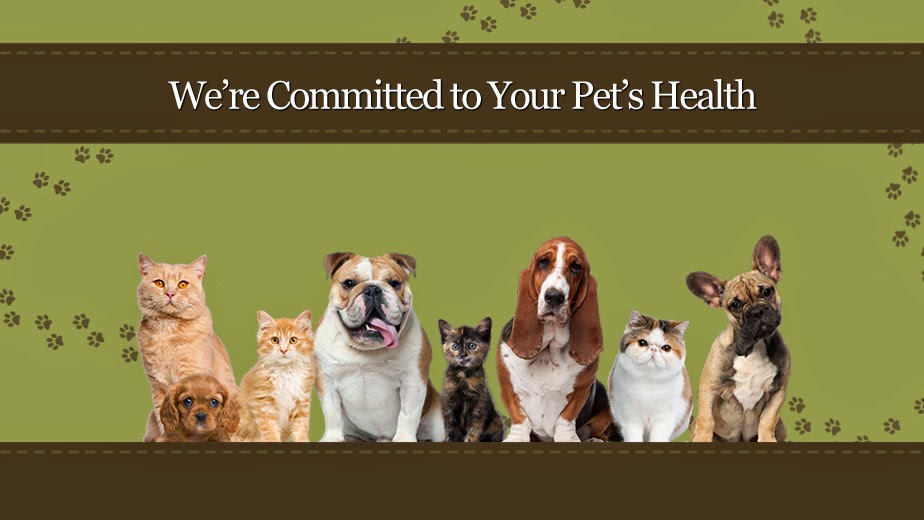 Blackhawk Veterinary Hospital - Cheney , United States