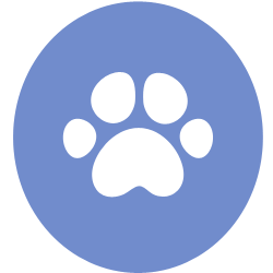 Abraam Animal Hospital - Tampa , United States