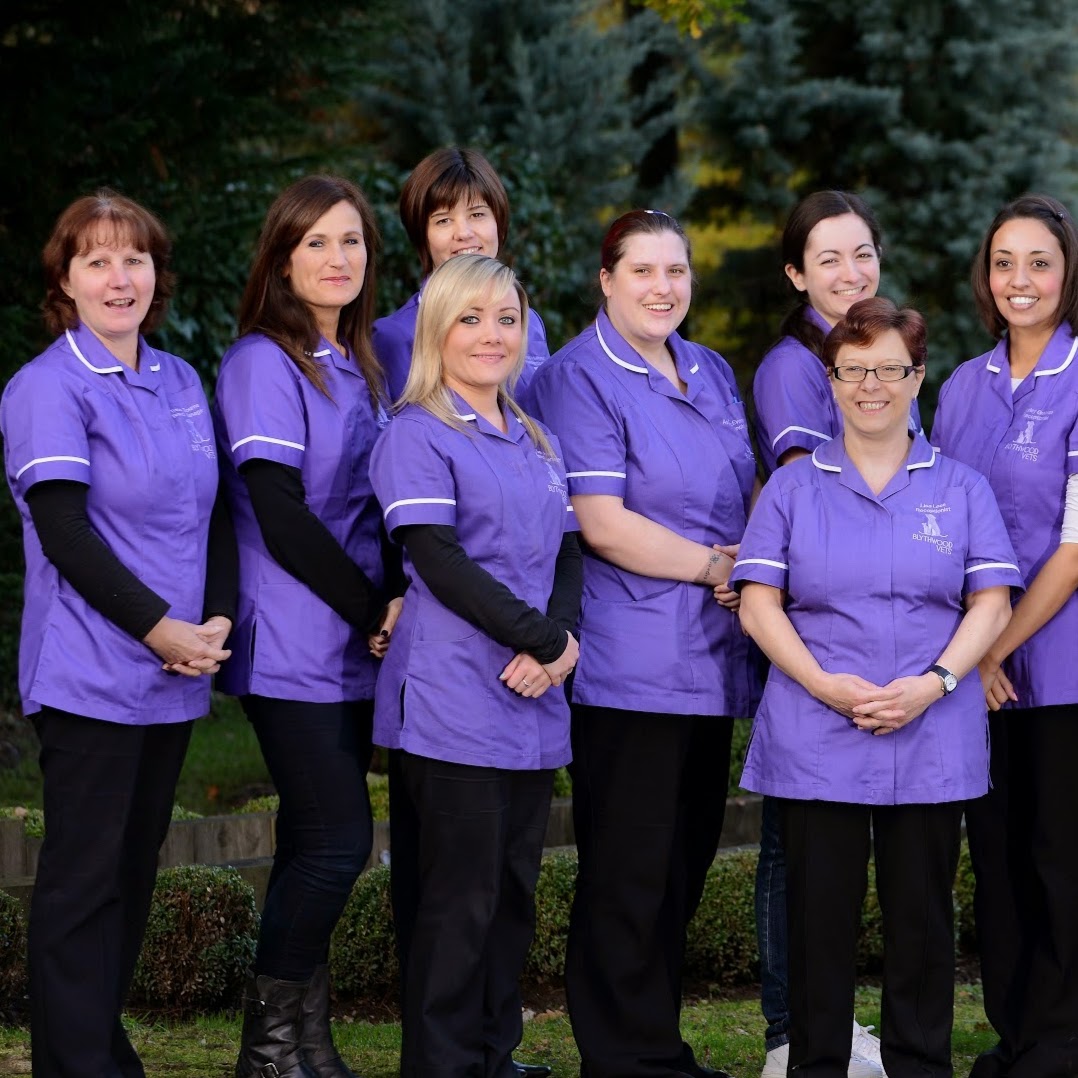Blythwood Vets Bushey - Bushey , United Kingdom