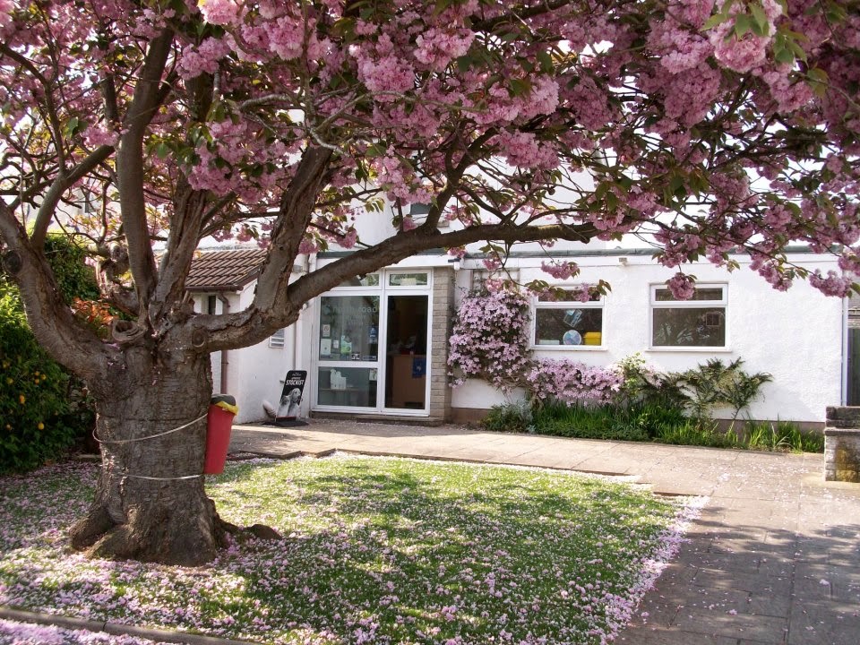 Midsomer Veterinary Centre - Radstock , United Kingdom