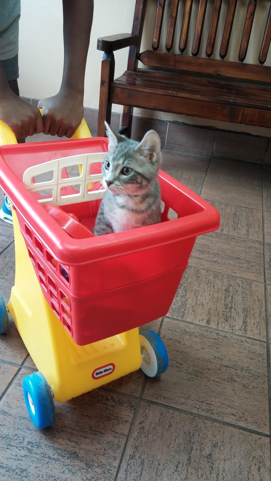 Pleasant Ridge Pet Hospital - Cincinnati , United States