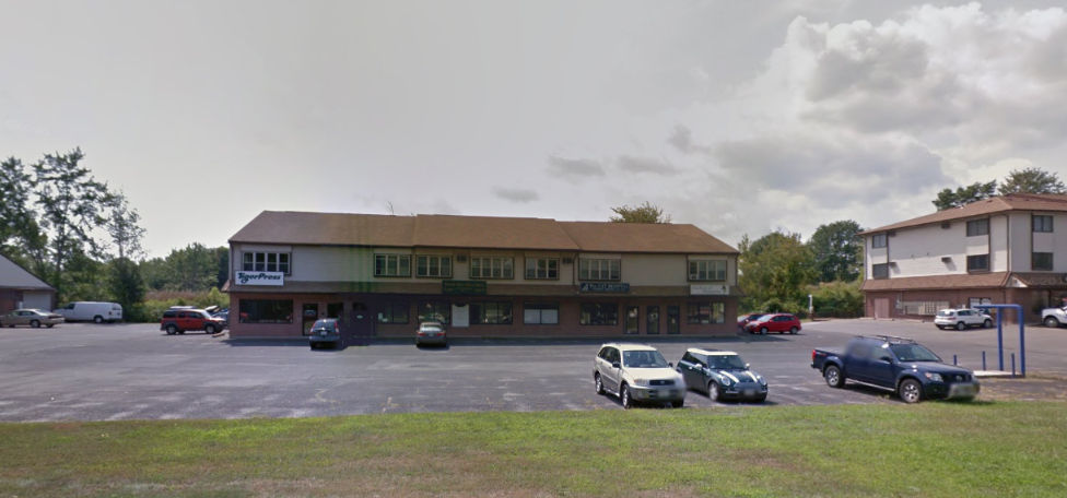The Cat Hospital - Northampton , United States