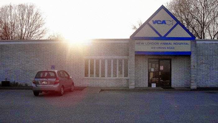 Vca New London Animal Hospital - Waterford , United States