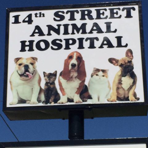 14Th Street Animal Hospital - Plano , United States
