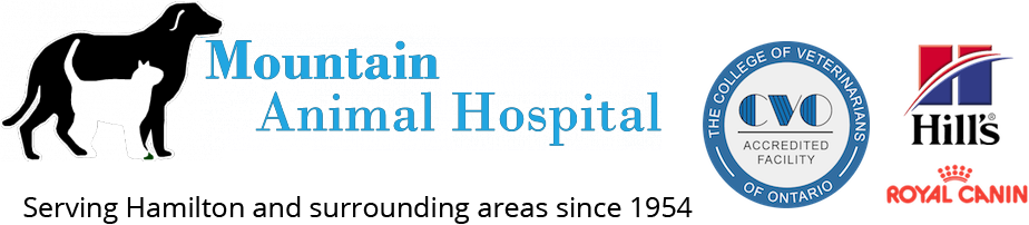 Mountain Animal Hospital - Hamilton , Canada