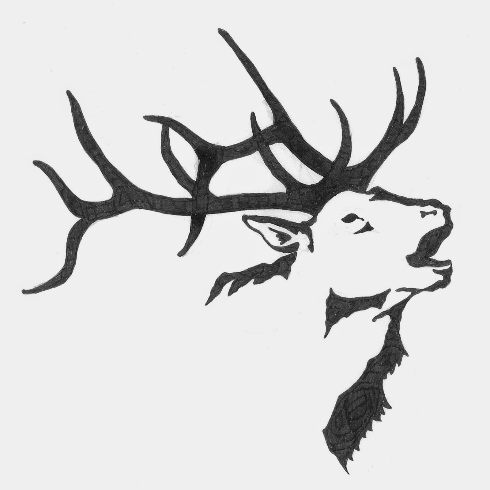 Animal Medical And Surgical Hospital East - Broken Arrow , United States