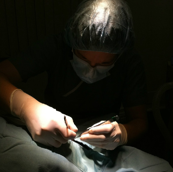 Allondale Animal Hospital - Surrey , Canada