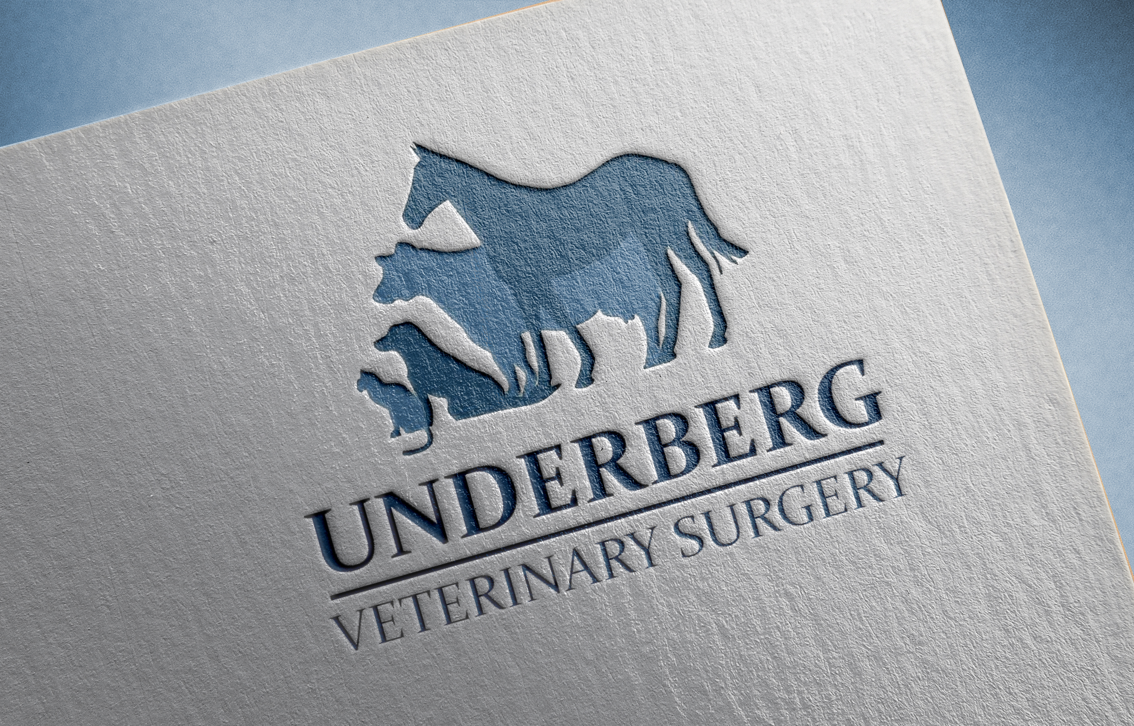 Underberg Veterinary Surgery - Underberg , South Africa