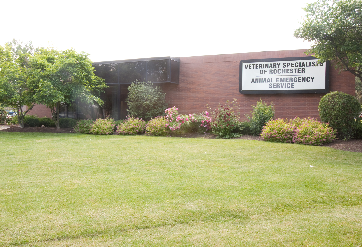 VSES Rochester - Rochester , United States
