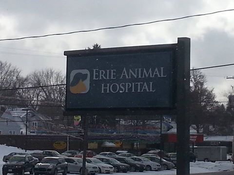 Erie Animal Hospital - Erie , United States