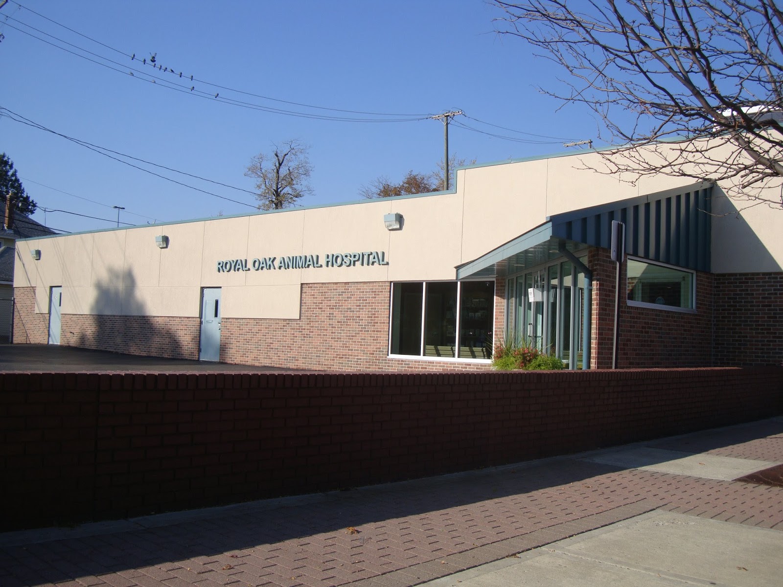 Royal Oak Animal Hospital - Royal Oak , United States