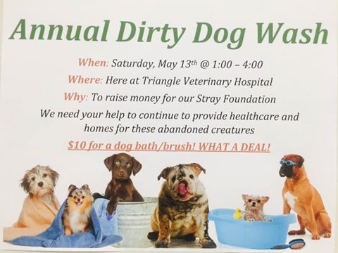 Triangle Veterinary Hospital - Durham , United States