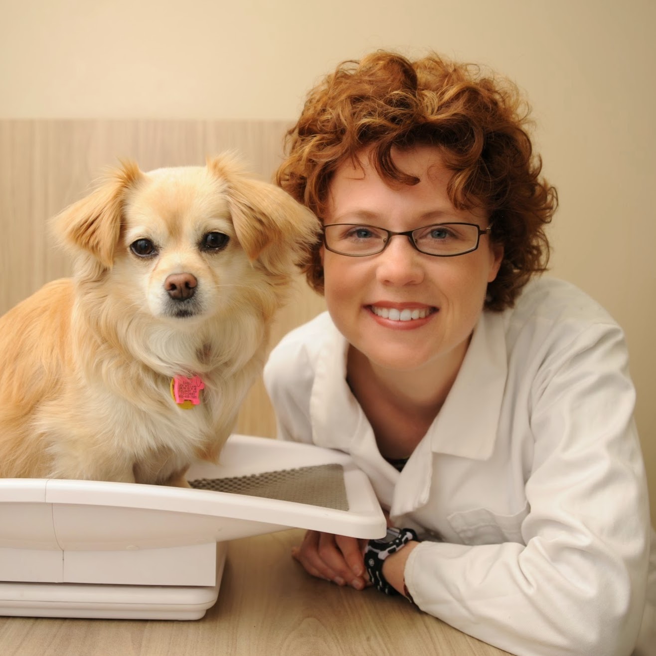 Vca Canada Landing Animal Hospital - Calgary , Canada