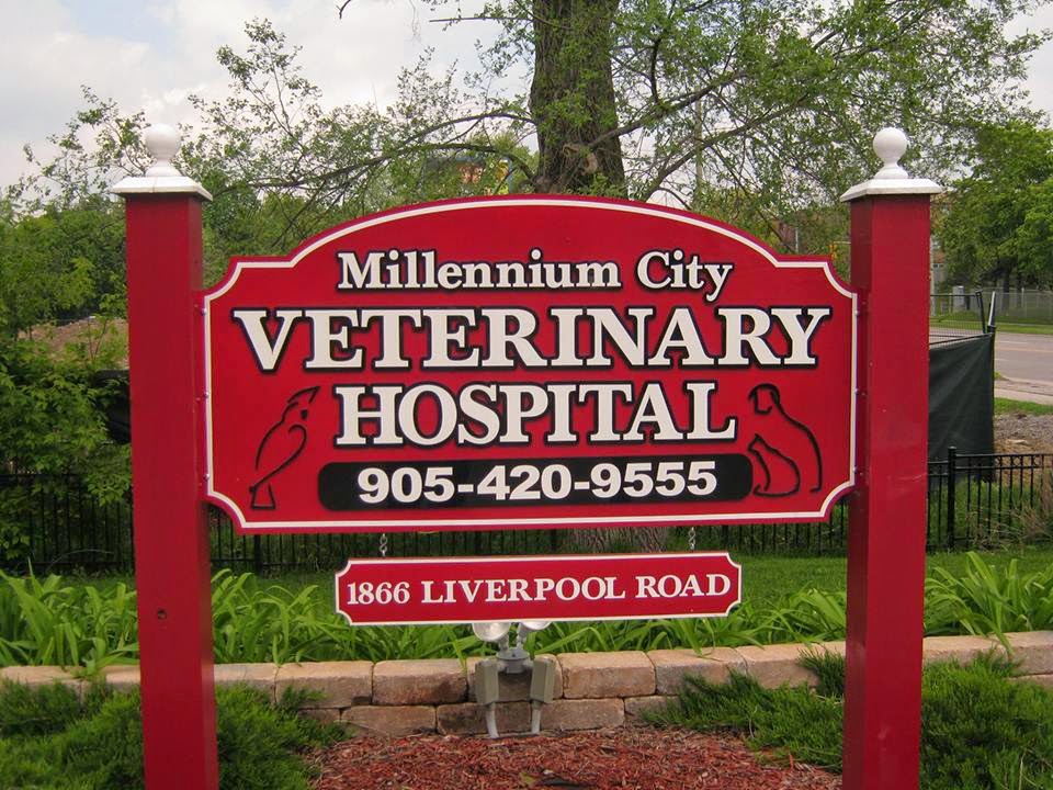 Millennium City Veterinary Hospital - Pickering , Canada