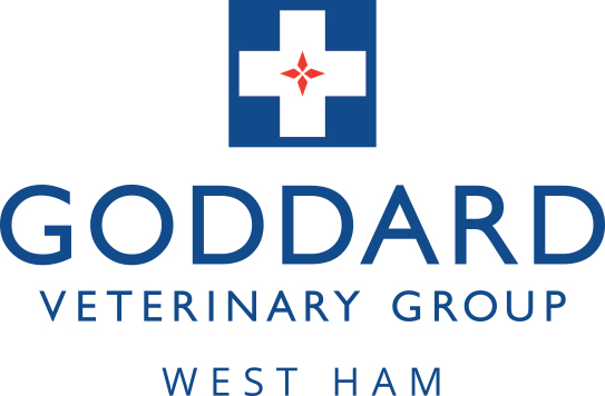 Goddard Veterinary Group West Ham - London , United Kingdom