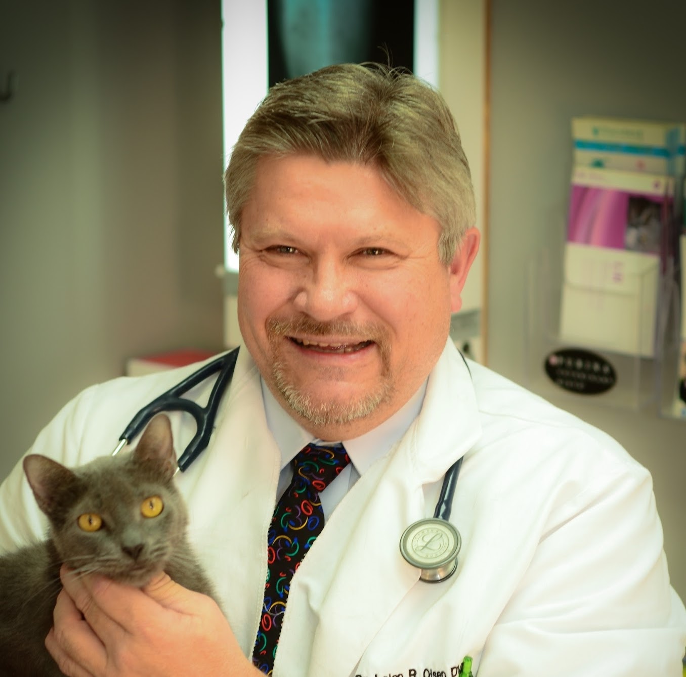 Olsen Veterinary Clinic - Glen Carbon , United States
