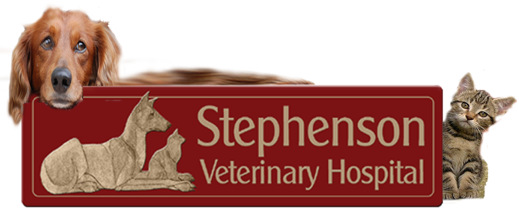 Stephenson Veterinary Hospital - Rockford , United States