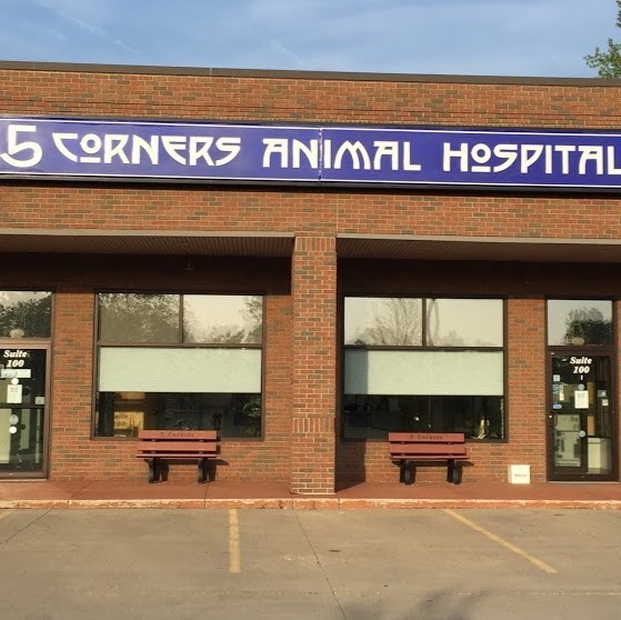 5 Corners Animal Hospital - Orchard Park , United States