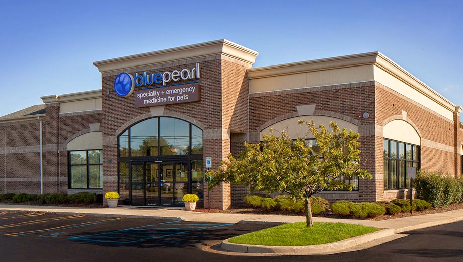 Bluepearl Pet Hospital - Auburn Hills , United States