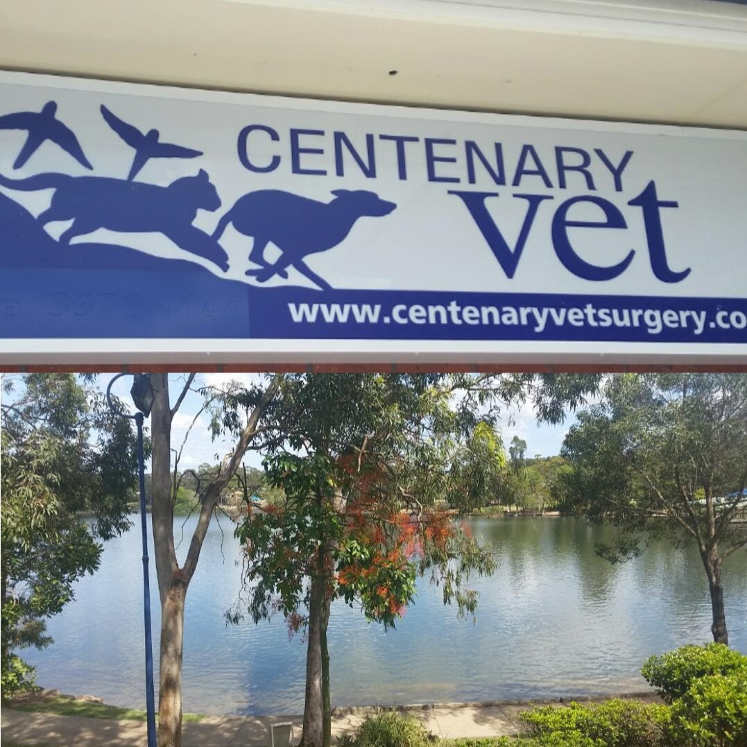 Forest Lake Vets Right On The Lake! - Forest Lake , Australia