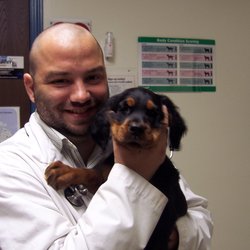 Maple Veterinary Hospital - Troy , United States
