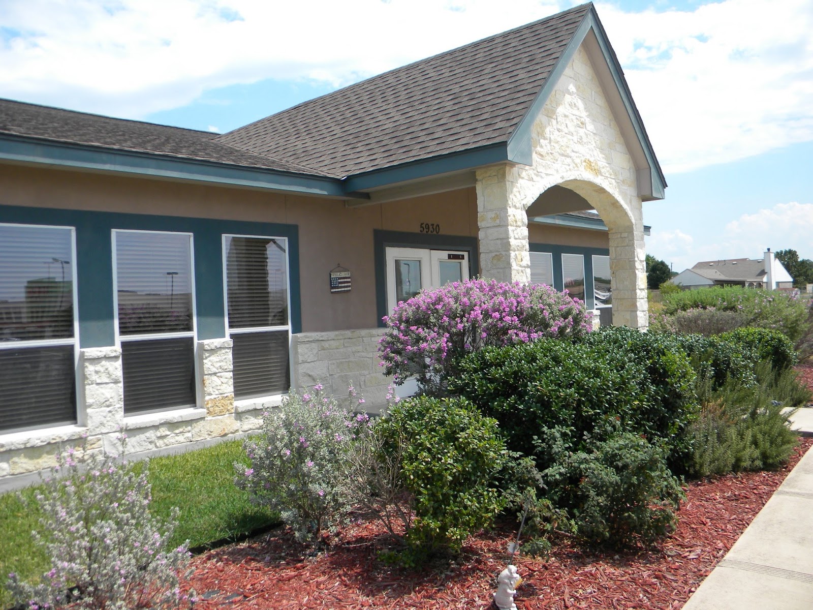Assure Vet Animal Hospital - San Antonio , United States