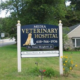 Media Veterinary Hospital - Media , United States