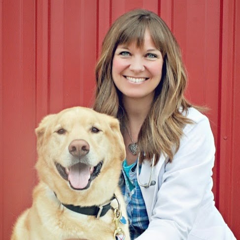 Heart Of Ankeny Animal Hospital - Ankeny , United States