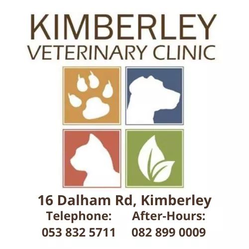 Kimberley Veterinary Clinic - Kimberley , South Africa