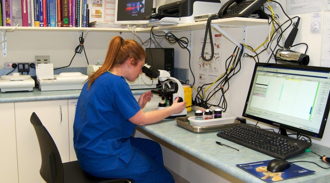 Our Vet Tuggeranong - Greenway , Australia