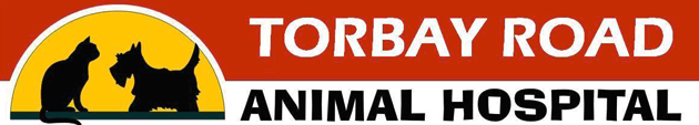 Torbay Road Animal Hospital - St. John's , Canada