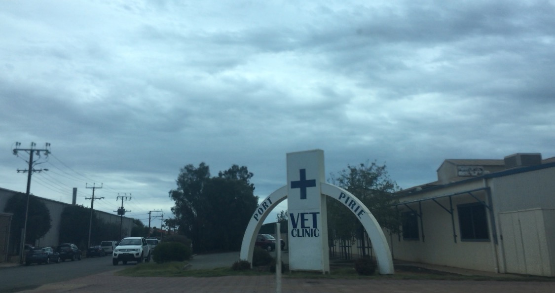 Port Pirie Vet Clinic - Port Pirie , Australia