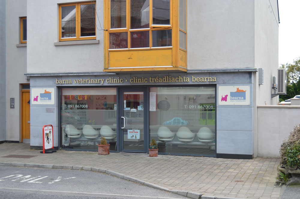 Barna Veterinary Clinic - Bearna , Ireland