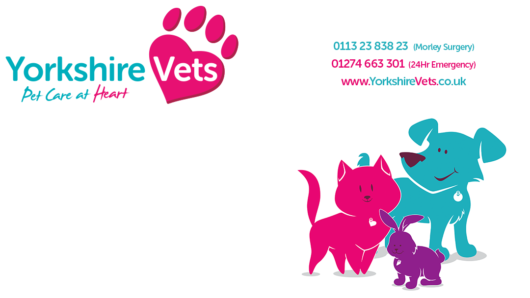 Yorkshire Vets Meanwood - Leeds , United Kingdom