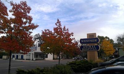 Business's Photo
