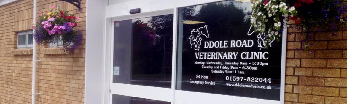 Ddole Road Veterinary Clinic - Llandrindod Wells , United Kingdom