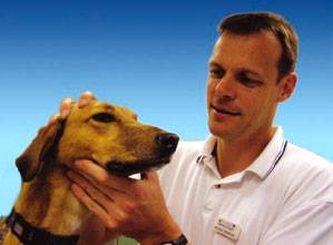 St Vincents Veterinary Surgery - Wokingham , United Kingdom