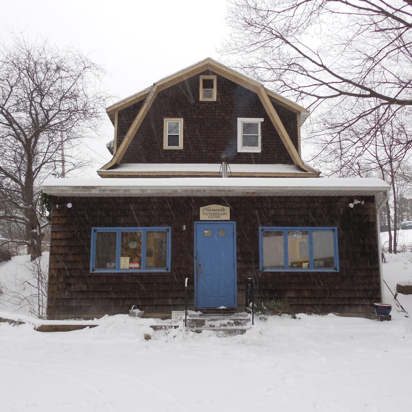 Normanside Veterinary Clinic - Albany , United States
